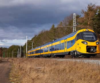 Amsterdam: Trein + bus van/naar Beekse Bergen