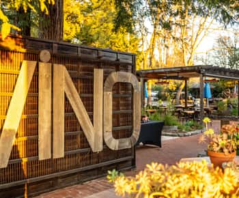 San Francisco: Guided Coastal Redwoods & Wine Country Tour