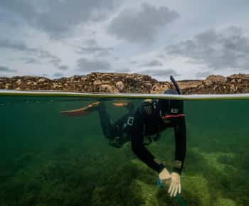 Nurkowanie z rurką na Coral Beach w Galway