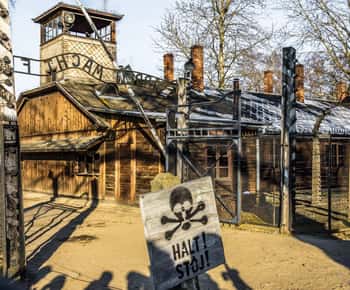 Auschwitz-Birkenau: Skip-the-Line Entry Ticket & Guided Tour
