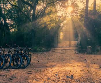 Auroville: Aventura de ciclismo no trilho natural da floresta