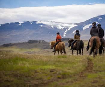 Varmahlid: Excursión a Caballo Vikingo