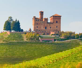 Vanuit Milaan: Dagtrip wijnstreek Langhe met Barolo proeverij