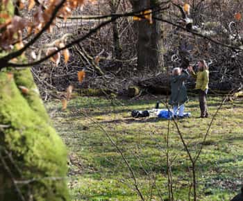 Skåne: guidet tur i nasjonalpark med lunsj i nærheten av Lund