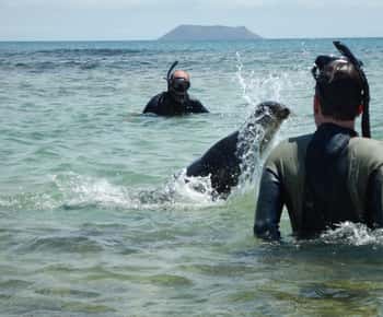 Galápagos: Excursão pelas ilhas 7 dias - 6 noites