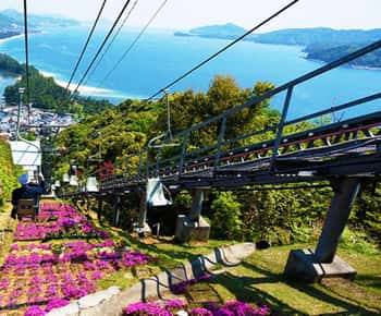 FromOsaka/Kyoto: Amanohashidate and Ine Town Tour