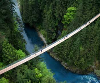 Capilano Suspension Bridge Park Ticket