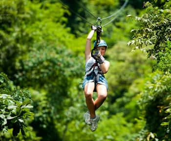 From Panama City: Rainforest Zipline Adventure
