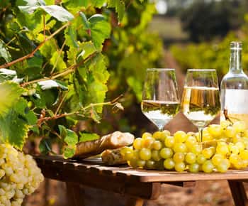 Vanuit Nice: Antibes & St Paul de Vence Tour met Wijnproeverij