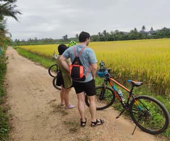 Chiang Mai: Sticky Waterfalls, Blue Pink Temple, and Cycling