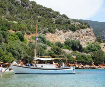 Πόλη του Λογγού: Κρουαζιέρα με σκάφος στο νησί Τριζόνια με φαγητό και ποτά