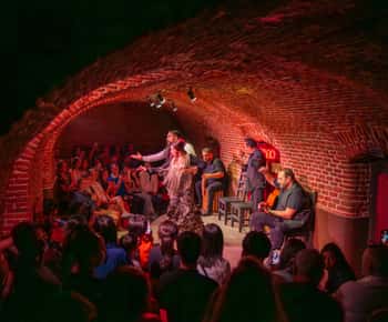 Madrid: Flamenco Show Entry Ticket with Drink & Artist Talk