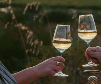 Castelsardo: Besuch eines Weinbergs mit Weinverkostung bei Sonnenuntergang