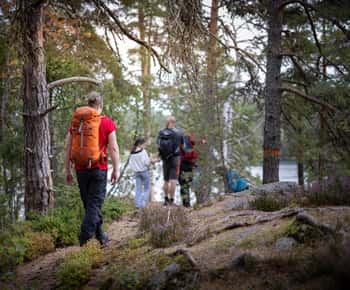 Parque Nacional de Tiveden: Caminhada guiada de verão à volta de Stenkälla