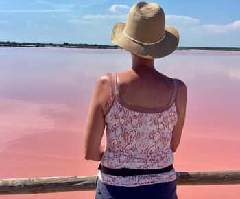 From Montpellier: Camargue and Salt Marshes Guided Tour