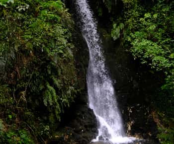 Tauranga: Kiwifruit Destination and Sights Shore Excursion