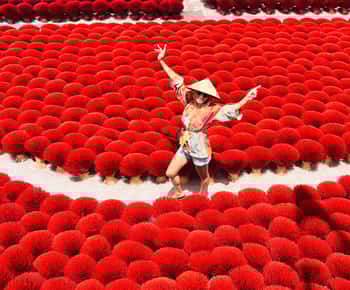 Hanoi: Incense Village, Hat & Lacquer Artisanal or City Tour