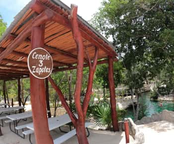 Rondleiding door Cenotes Casa Tortuga met basis toegangsbewijs