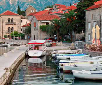From Tirana to Montenegro: Kotor and Budva, Day tour