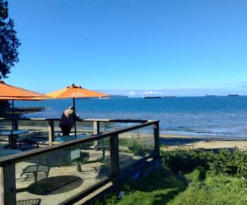 Capilano Br+Grouse Mtn+Dam+Lake&Hatcher/5in1/Small Group/Car