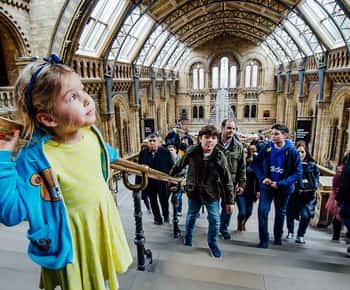 Natural Museum: Butterflies, Gems, Dinosaurs Explored