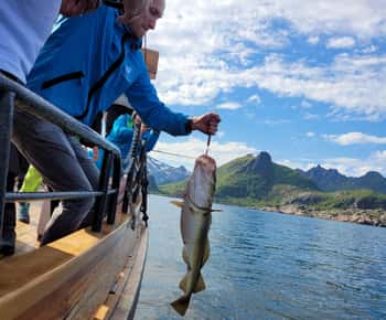 Au départ de Svolvaer : Croisière en bateau de pêche aux Lofoten