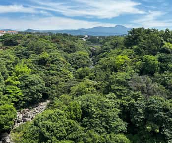 Seogwipo Jungmun Area Walking Tour