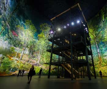 360° Panorama Amazonia Inngangsbillett