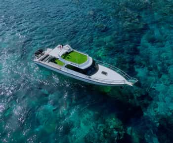 From Bali: Nusa Penida Private Snorkeling Tour with Lunch