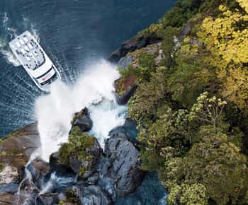 Milford Sound: Nature Cruise - Grand Views & Optional Lunch
