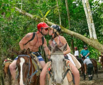 Punta Cana: Samaná, Cayo Levantado (Bacardi) & Limon Falls