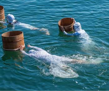 伊勢神宮を参拝し、海女文化を体験する旅