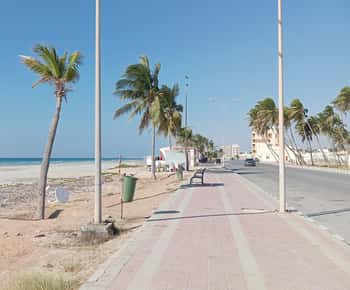 Dhofar: Salalah City and East Salalah Private Tour