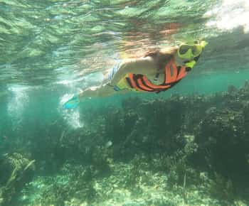 Puerto Morelos: Snorkeltour met gids, vistuig en kosten