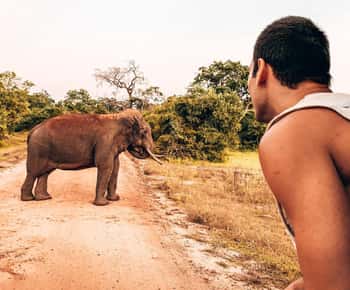 ARUGAM-BAY naar HIRIKETIYA/MIRISSA Transfer met YALA Safari