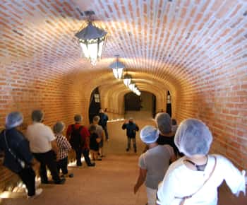 Santiago de Querétaro: Ruta del Queso y el Vino de los Pueblos Mágicos