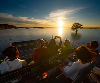 Kissimmee: Boggy Creek Sunset Airboat-tur