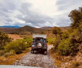 Vinsafari