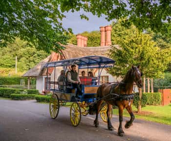 Killarney: 1-Hour Jaunting Car Horse and Carriage Tour