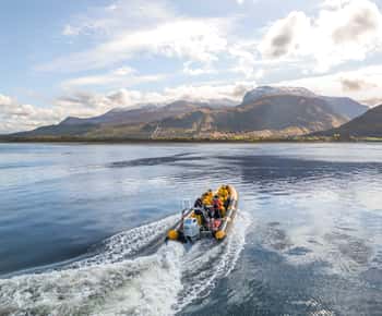 Fort William: 1 times Loch Safari Speedboat-tur
