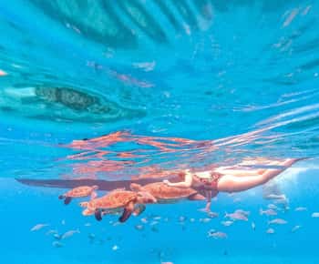 From Mindelo: Snorkel and Swim with Sea Turtles