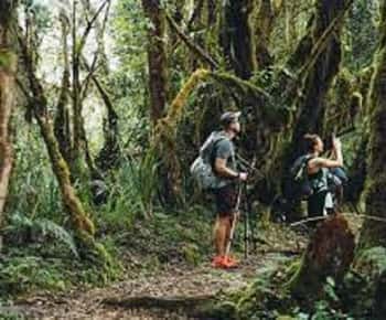 Da Arusha/Moshi: Escursione di un giorno sul Kilimanjaro e sulla via Marangu