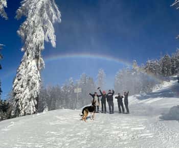 Ehrwald: Zugspitze Snowshoe Hiking Tour with Mountain Views