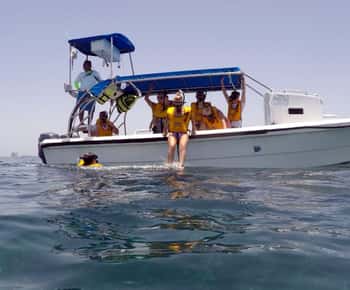 Vanuit Cancún: Snorkelen met schildpadden Tour
