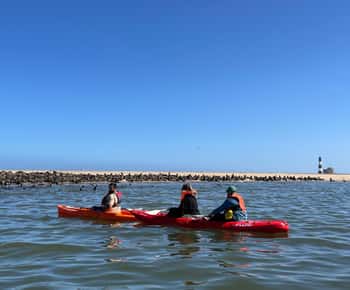 Walvis Bay: Kayaking and Sandwich Harbour Full-Day Tour