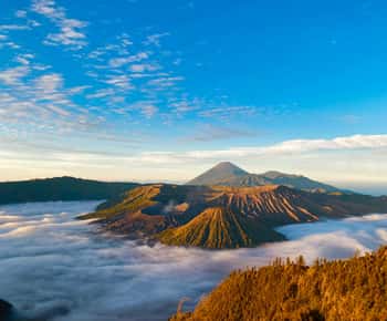 From Yogyakarta : 3Days Bromo-Ijen Vulcano drop Bali Hotel