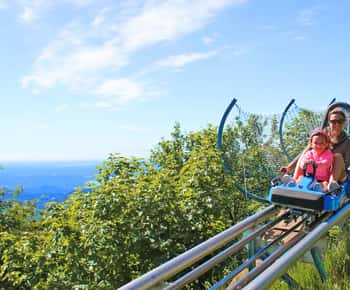Stresa: Alpyland Alpine Coaster Ride on Mount Mottarone