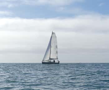 Evening aperitif cruise at the entrance of Morbihan's Gulf