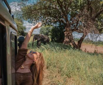 Arusha: Safari di 3 giorni nel Serengeti e nel cratere di Ngorongoro alla ricerca dei Big Five