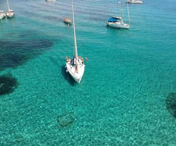 From Stintino: Half-Day Sailing Boat Tour to Asinara